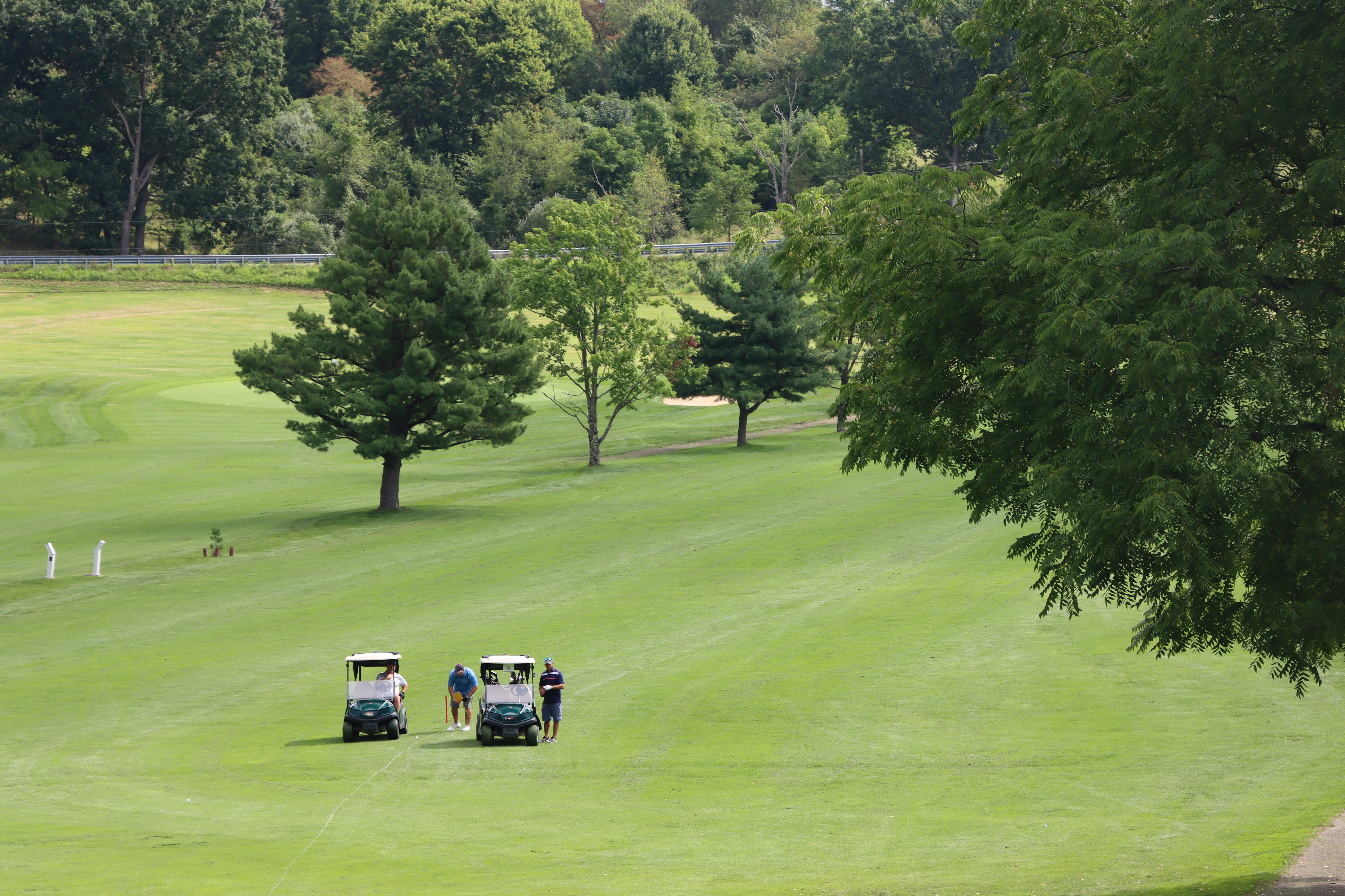 Golf Carts